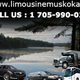 Muskoka  Limousine's avatar