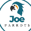 joe parrots's avatar